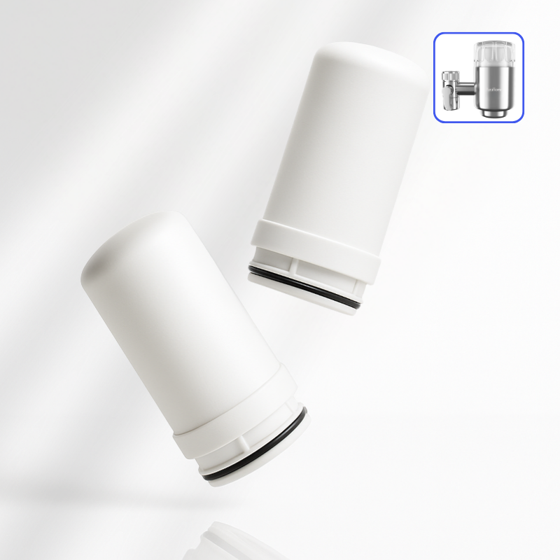 PuraHome™ Filter Supply (Premium Stainless Steel)
