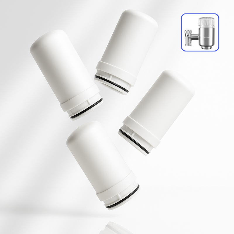 PuraHome™ Filter Supply (Premium Stainless Steel)