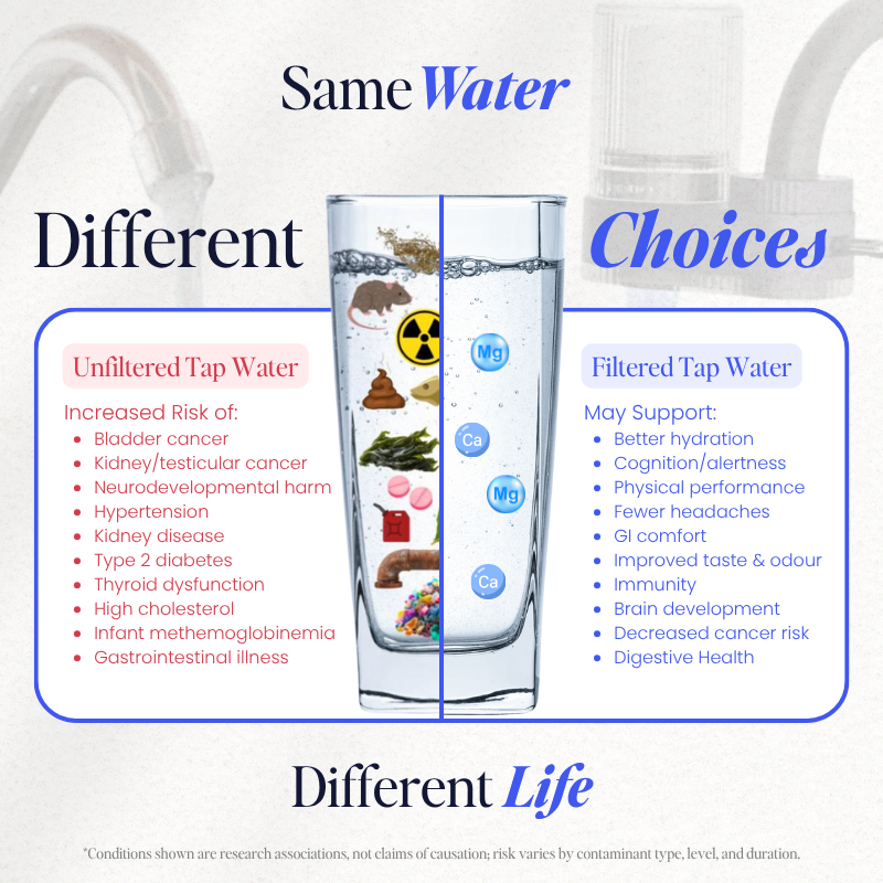 PuraHome™ Tap Water Filter