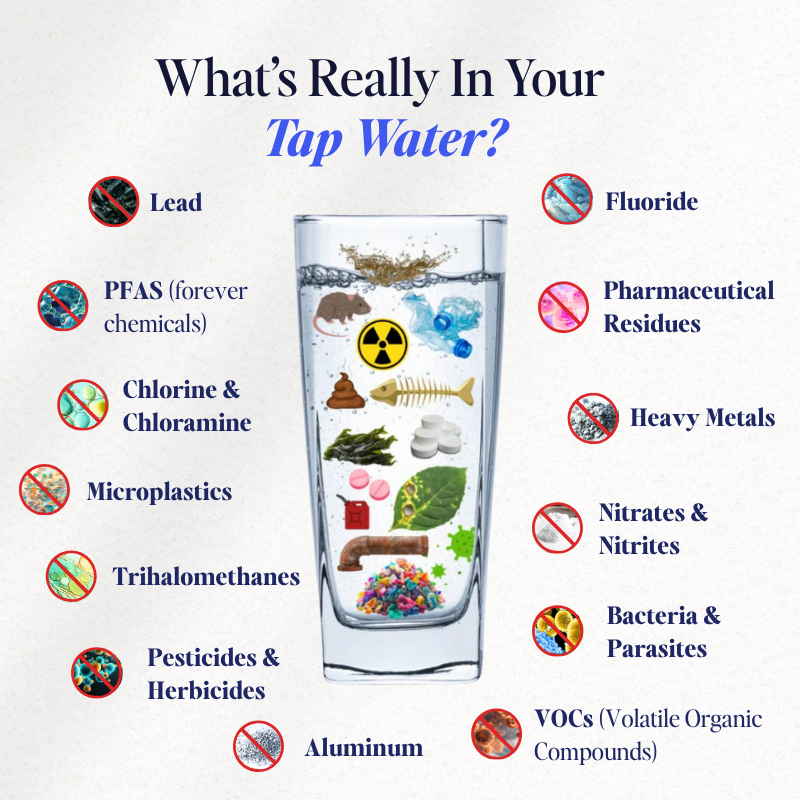 PuraHome™ Tap Water Filter
