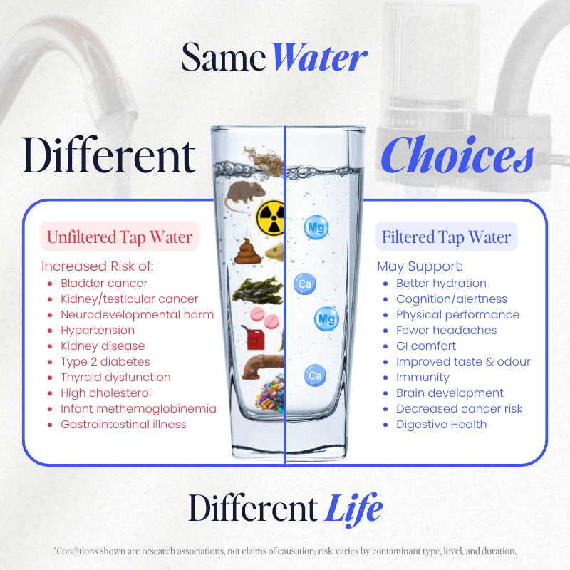 PuraHome™ Tap Water Filter (B2G1FREE)