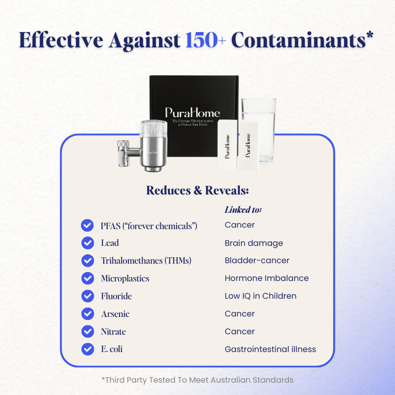 PuraHome™ Premium Stainless Steel Filter