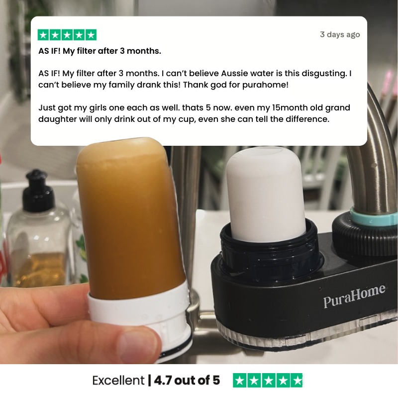 PuraHome™ Tap Water Filter