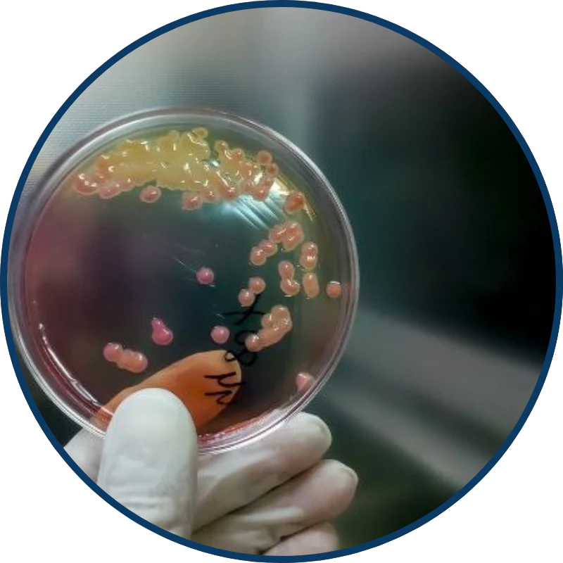 Bacteria & Parasites