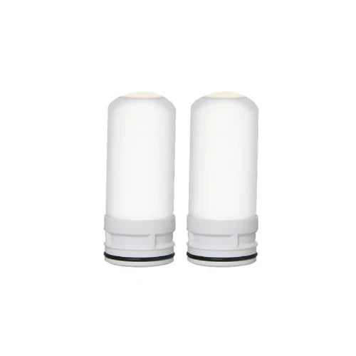 PuraHome™ 6 Month Supply - 2 Filters
