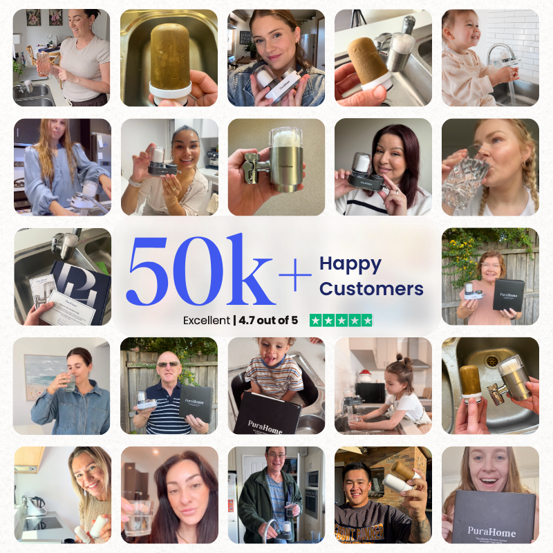 PuraHome™ Premium Stainless Steel Filter