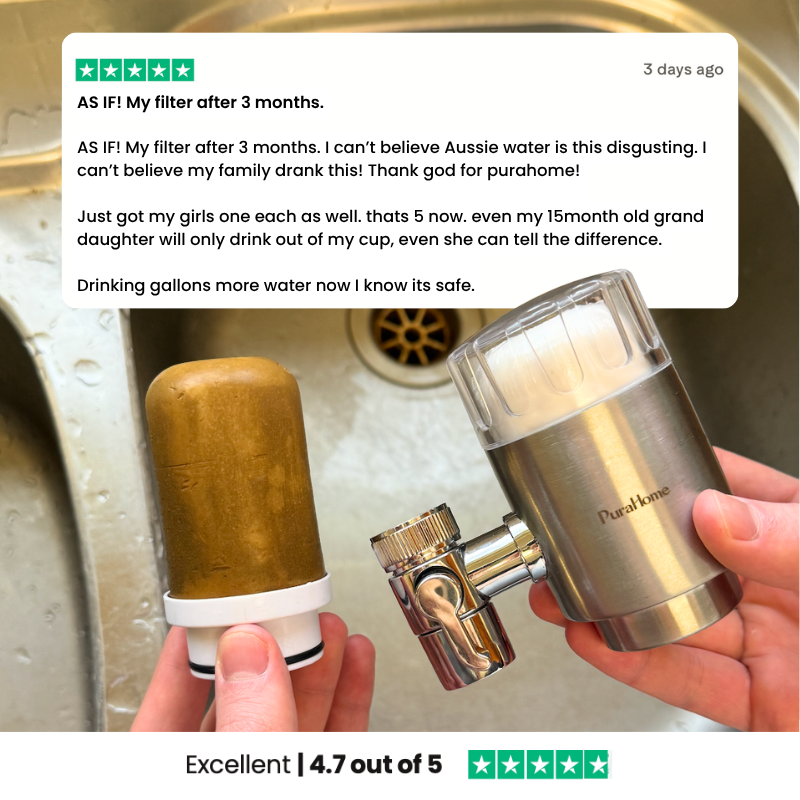 PuraHome™ Premium Stainless Steel Filter