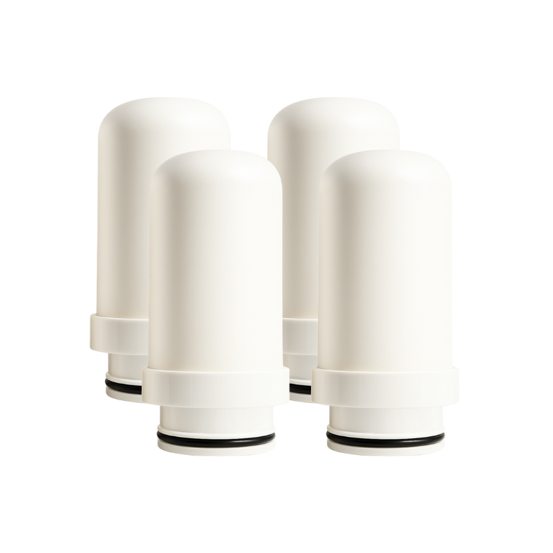 PuraHome™ Premium Stainless Steel Filter Cartridges x4