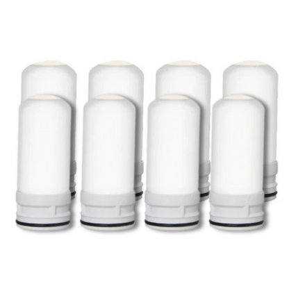 PuraHome™ 1 Year Supply for 2 Filters (8 Filters)