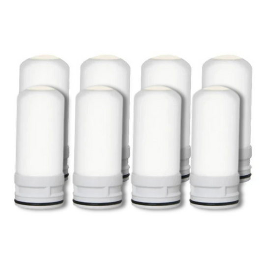 PuraHome™ 1 Year Supply for 2 Filters (8 Filters)