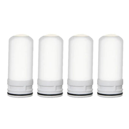 PuraHome™ 1 Year Supply - 4 Filters