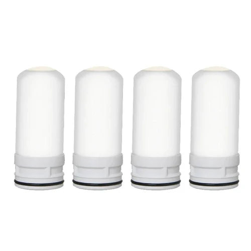 PuraHome™ 1 Year Supply - 4 Filters
