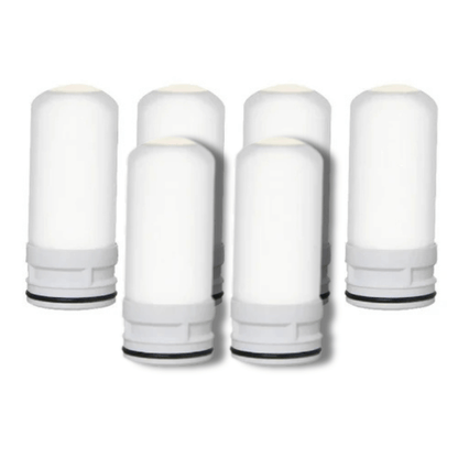 PuraHome™ 6 Months Supply for 3 Filters (6 Filters)
