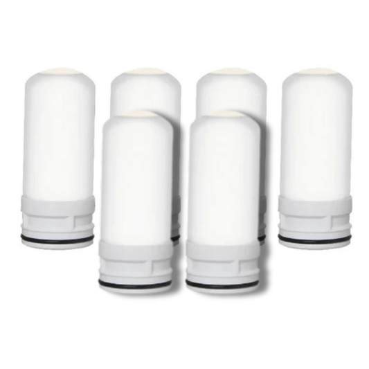 PuraHome™ 6 Months Supply for 3 Filters (6 Filters)
